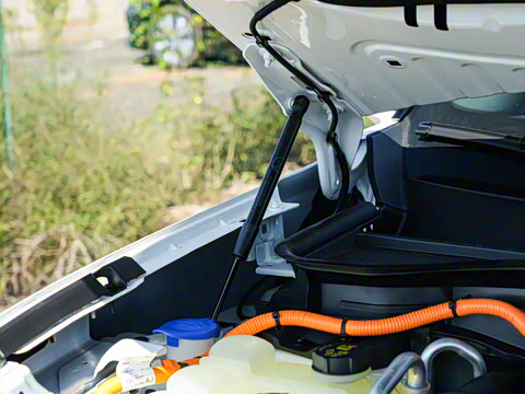 2026�� ���L 2.0T EcoBoost E�춯��������������