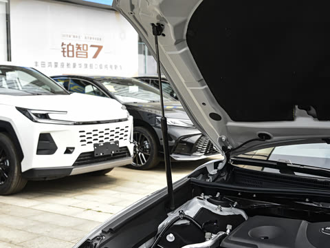 2026�� ˫�� 2.5HXS �˶�Plus��