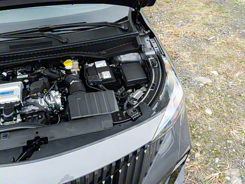 2026�� Ӱ�� 270T ��ȡ��