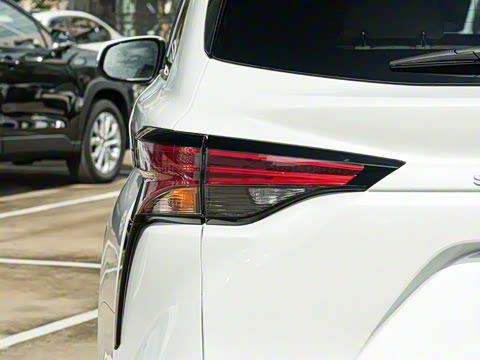 2026�� 2.5L ˫����������