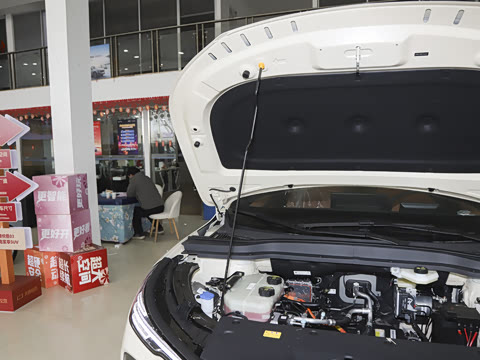 2026�� 565km ������