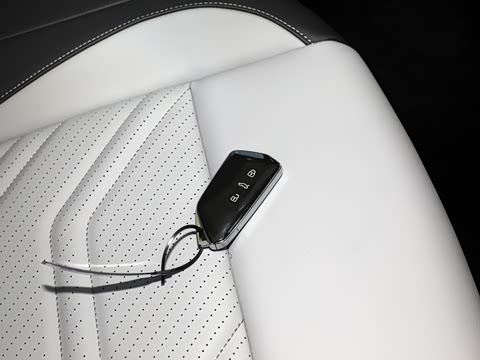2026�� �Ŀ� ̽��L 300TSI ������Ӣ