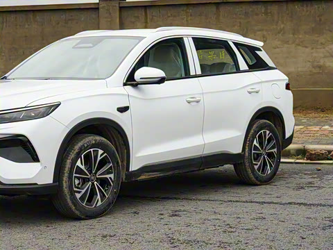 2026�� DM-i 133KM��Խ��