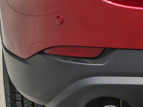 2025�� 2.0L �Զ���������Pro