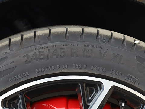 2025�� ���� 230Pro�캽��