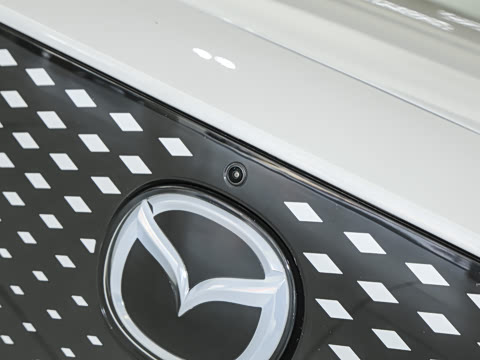 2025�� ����600�����˶���