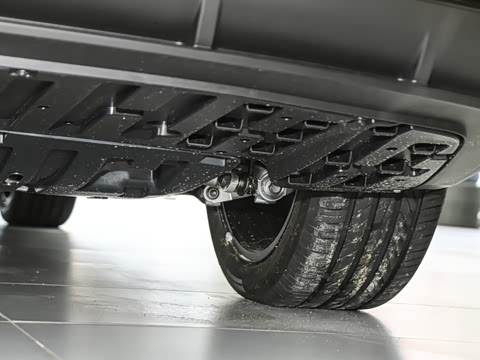 2025�� ����600�����˶���