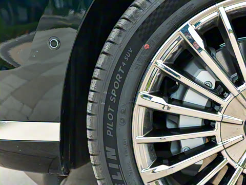 2025�� �Ŀ� 350 Max���������״��