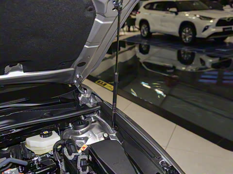 2026�� ˫�� 2.0HGVP ������