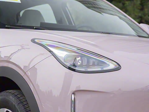 2026�� 310km �����