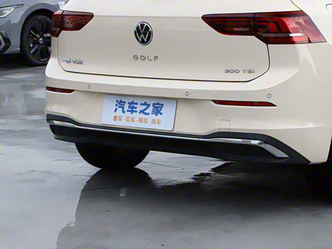 2025�� �Ŀ� 300TSI Pro