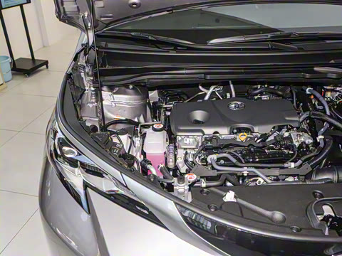 2026�� 2.5L ˫������������