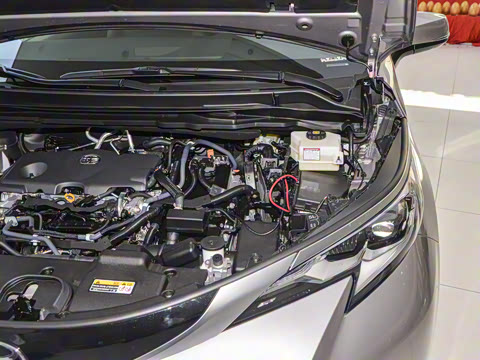 2026�� 2.5L ˫������������