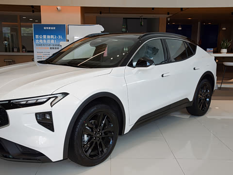 2026�� 2.0T EcoBoost E �춯 �˶���