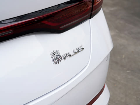 2026�� DM-i 128KM��ȡ��