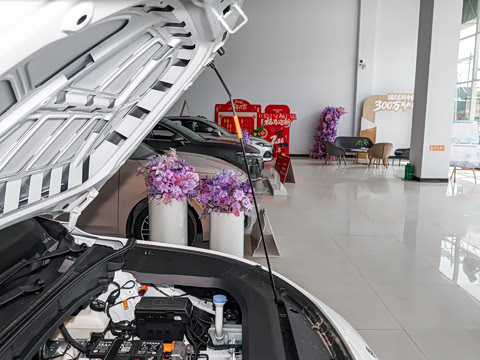 2026�� 450km ������