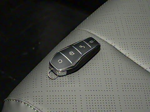 2026�� DM-i 210KM��ȡ��