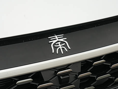 2026�� DM-i 210KM��ȡ��