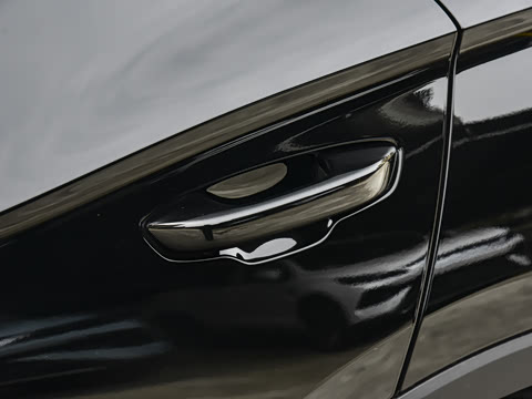 2026�� DM-i 220KM��Խ��