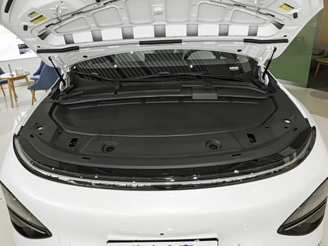 2025�� 625 ������ Max �Ƽ���