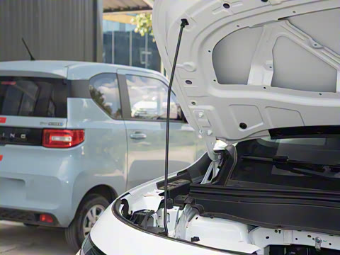 2025�� 600������