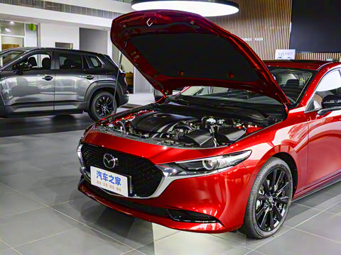 2025�� 2.0L �Զ������