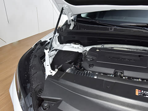 2026�� ������Plus 28T �����׽��