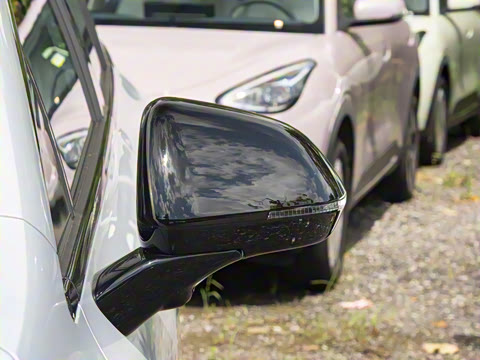 2026�� 520�Ǻ���