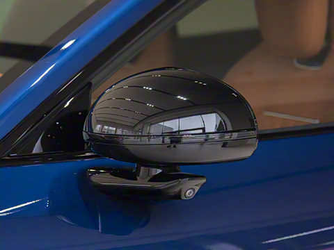 2025�� ������������Pro��