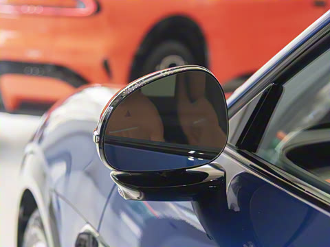 2025�� ������������Pro��