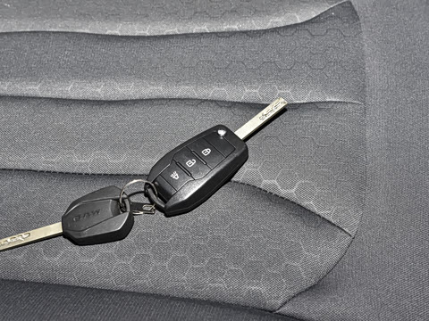 2025�� 2.0L CNG��Ӣ�� 9��