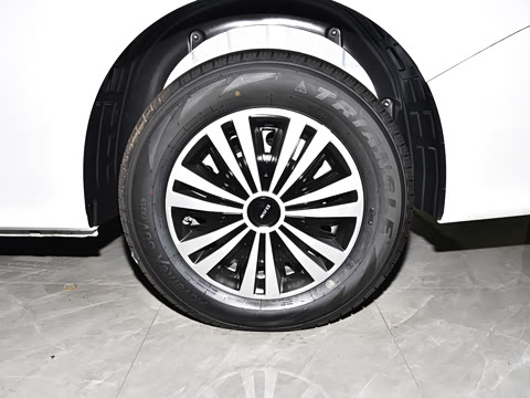 2025�� 2.0L CNG��Ӣ�� 9��