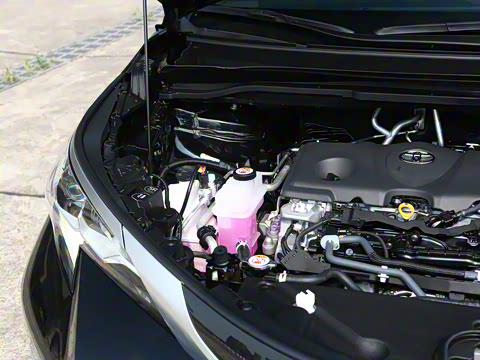 2026�� 2.5L ˫��������������