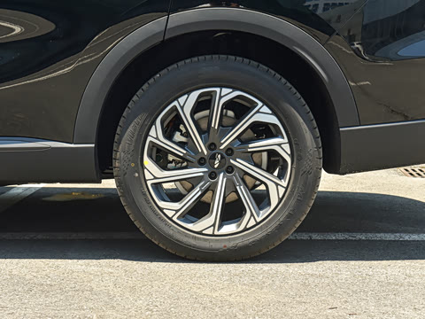 2026�� 220 �������콢��