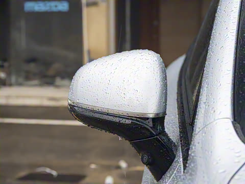 2025�� 825 Pro��