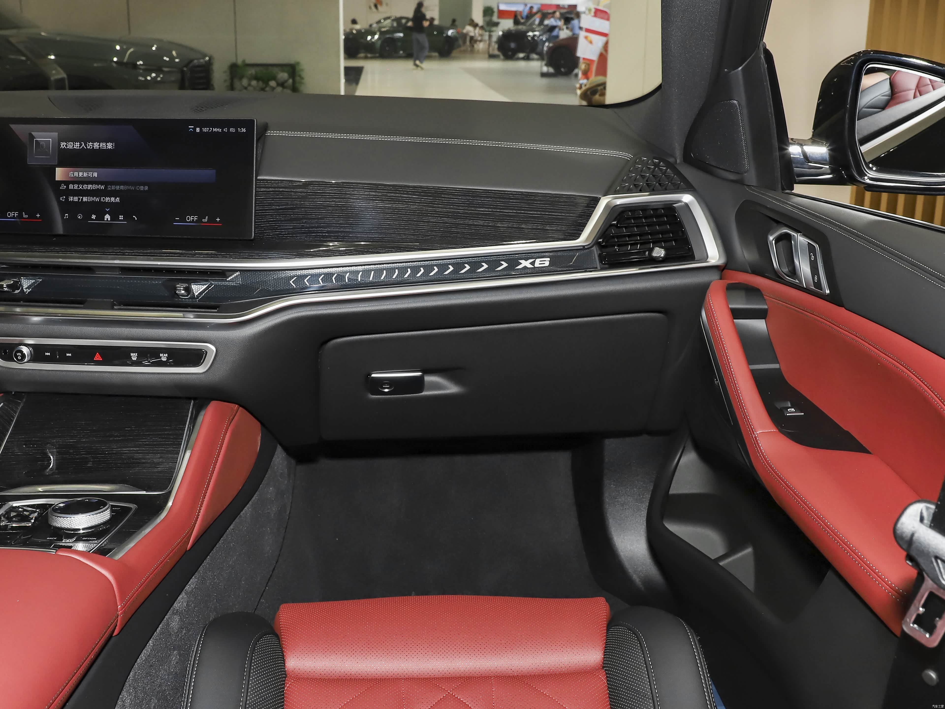 BMW X6, миниатюра 11
