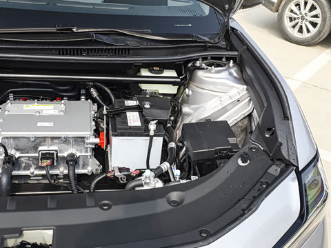 2026�� ������ JOY