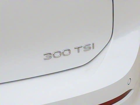 2026�� 300TSI Pro