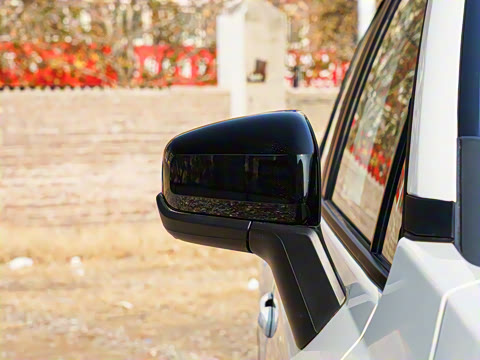 2026�� ˫�� 2.5L ����������