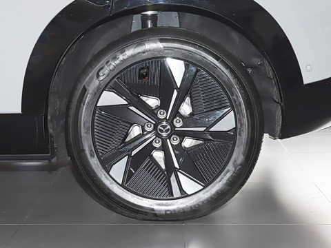 2026�� ����600 Pro