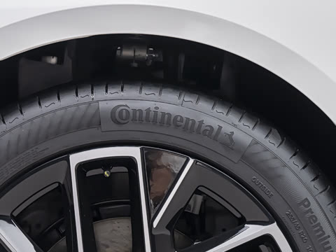 2026�� Max ˫��������