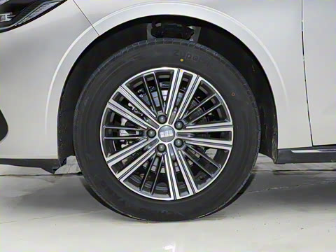 2026�� 125km̽��+��