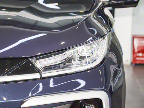 2025�� 300T ������ҹ��