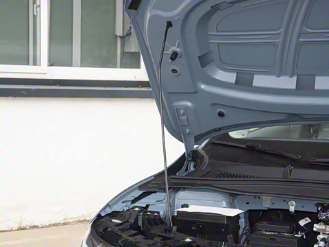 2025�� 550������