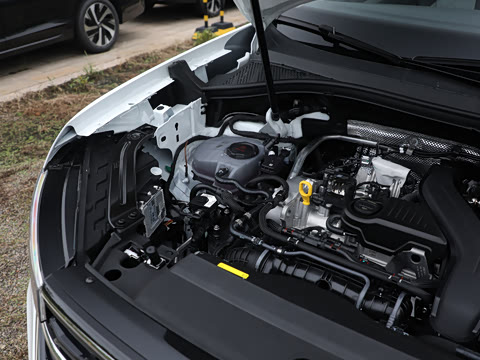 2026�� 3000������ѡ�� 300TSI