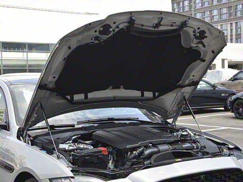 2025�� 2.0T P300 ����90�����ذ�