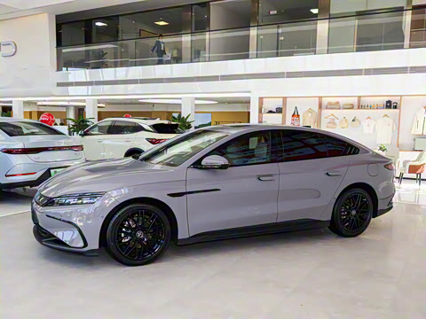 2025�� DM-i �Ǽݰ� 245KM������