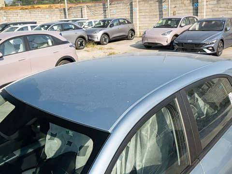 2026�� 310km �ഺ��