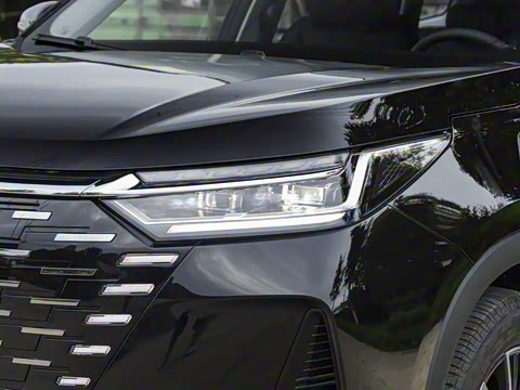 2025�� 290T ��������+