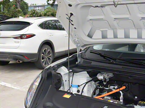 2025�� 325km ������